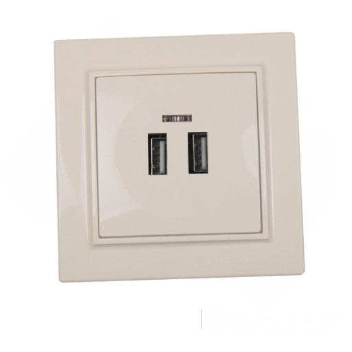 Розетка USB латте EH-5320-LT